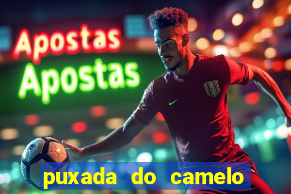 puxada do camelo no jogo do bicho